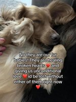 0c1a5b8dcf5a9e16b8e3fefd127274d2.jpg