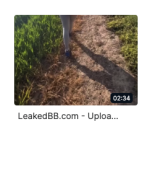 28e2957adc8b2094b7058278cab85e4e.png